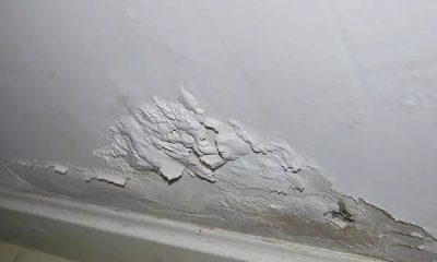 老師傅應(yīng)該如何挑選好的涂料？
